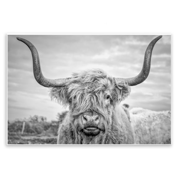 The Stupell Home Decor Collection Black and White Highland Cow Photograph Oversized Wall Plaque Art, 12.5 x 0.5 x 18.5