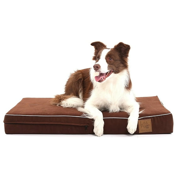 Laifug 34"x22"x4"Pet Bed/Orthopedic Memory Foam Dog Bed with Durable Water Proof Liner and Removable Washable Cover, Chocolate
