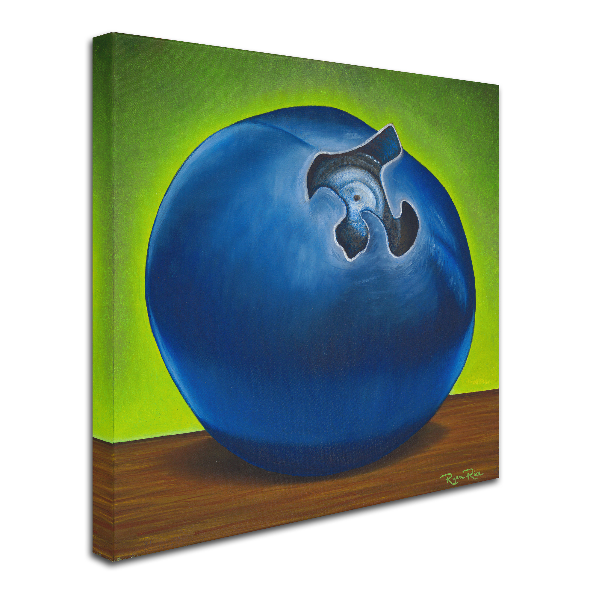 Trademark Fine Art 'Blueberry Pi' Canvas Art by Ryan Rice Fine Art