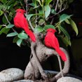 thumbnail image 2 of 2 pájaros artificiales realistas para festivales, decoraciones de boda para el hogar y exteriores., 2 of 7