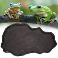 thumbnail image 4 of Reptiles Feeder Snake Frogs Reptiles Feeding Basin, NW-29 Plastic Reptiles Feeder Dish, For Reptiles Deep Coffee Color, 4 of 8