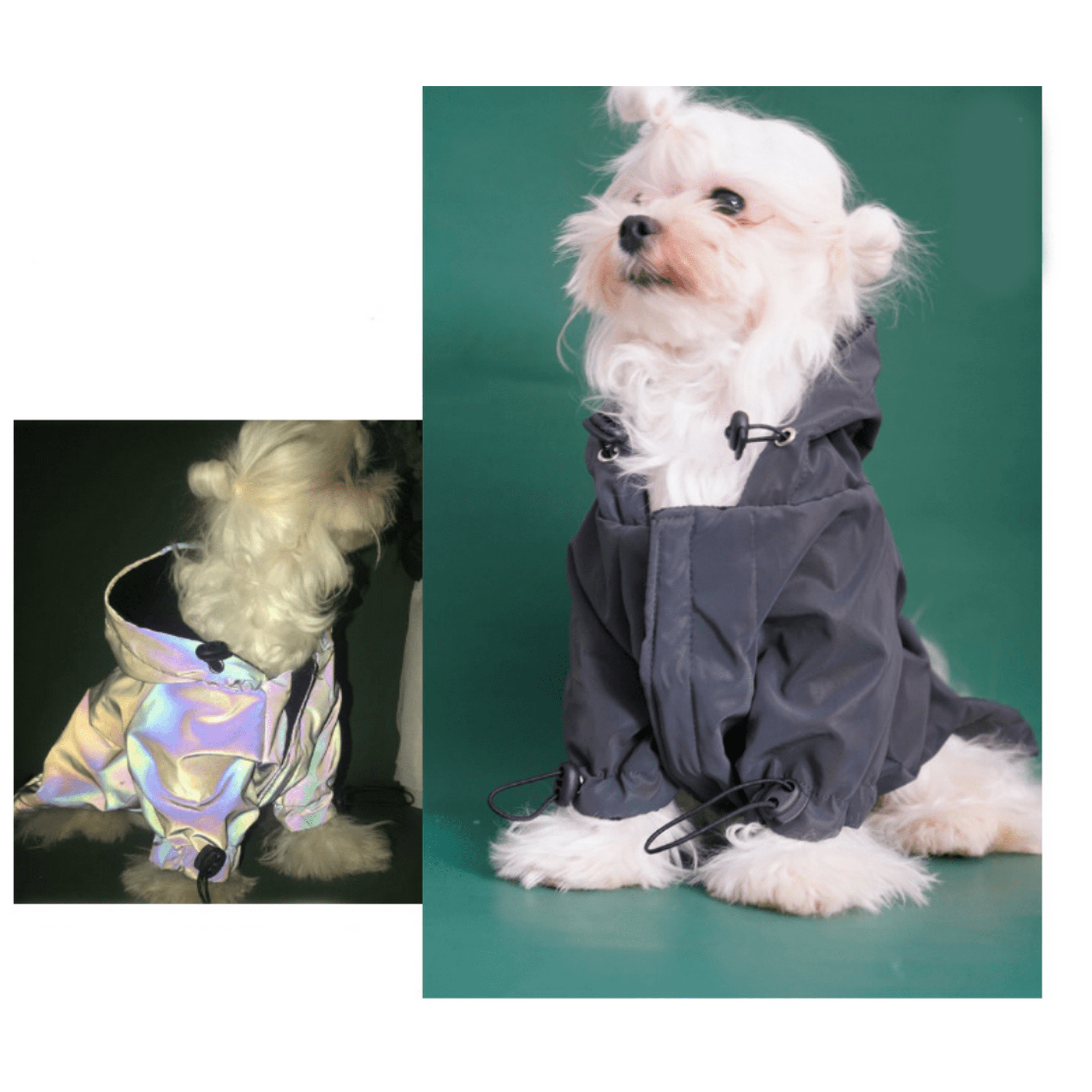 Dog sweatshirts without hoods hot sale