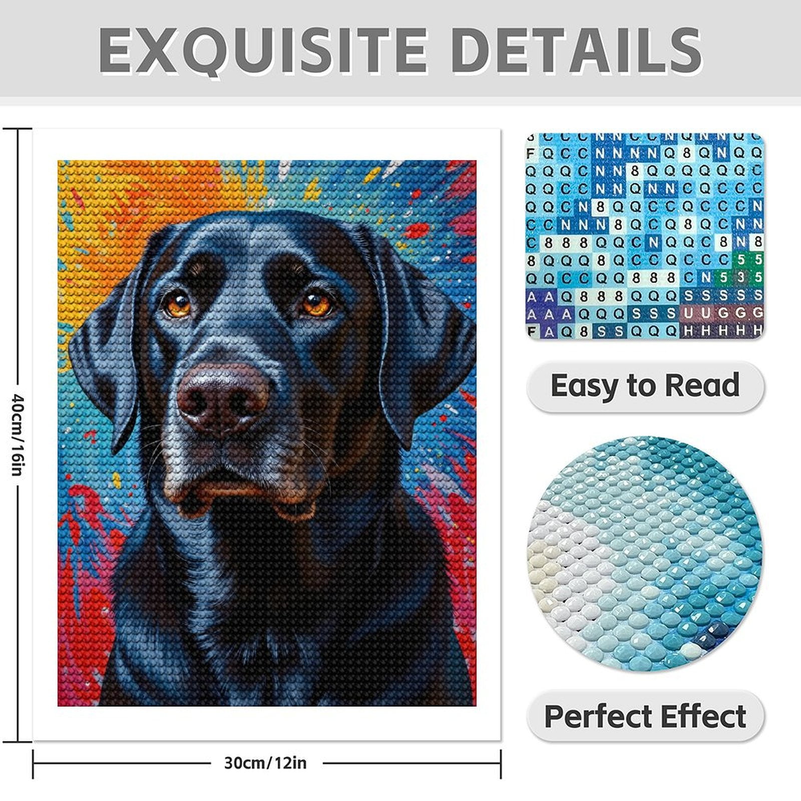 Diamond Art Kits for Adults - 5d Black Lab Vibrant Abstract Background Diamond Painting for Adults, Diamond Art for Adults Beginners, Diamond Painting Kits for Adults for Home Wall Decor