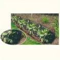 thumbnail image 2 of serony Vegetable Small Arch Greenhouse Film For Sturdy and Frost Maintain Optimal, 2 of 6