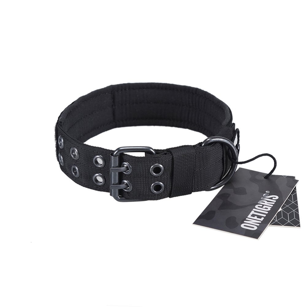 buckle collar dog