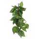 thumbnail image 1 of Tanque de reptiles, planta falsa, decoración de plantas artificiales, adorno de planta vívida, decoración de tanque de reptiles, 1 of 6