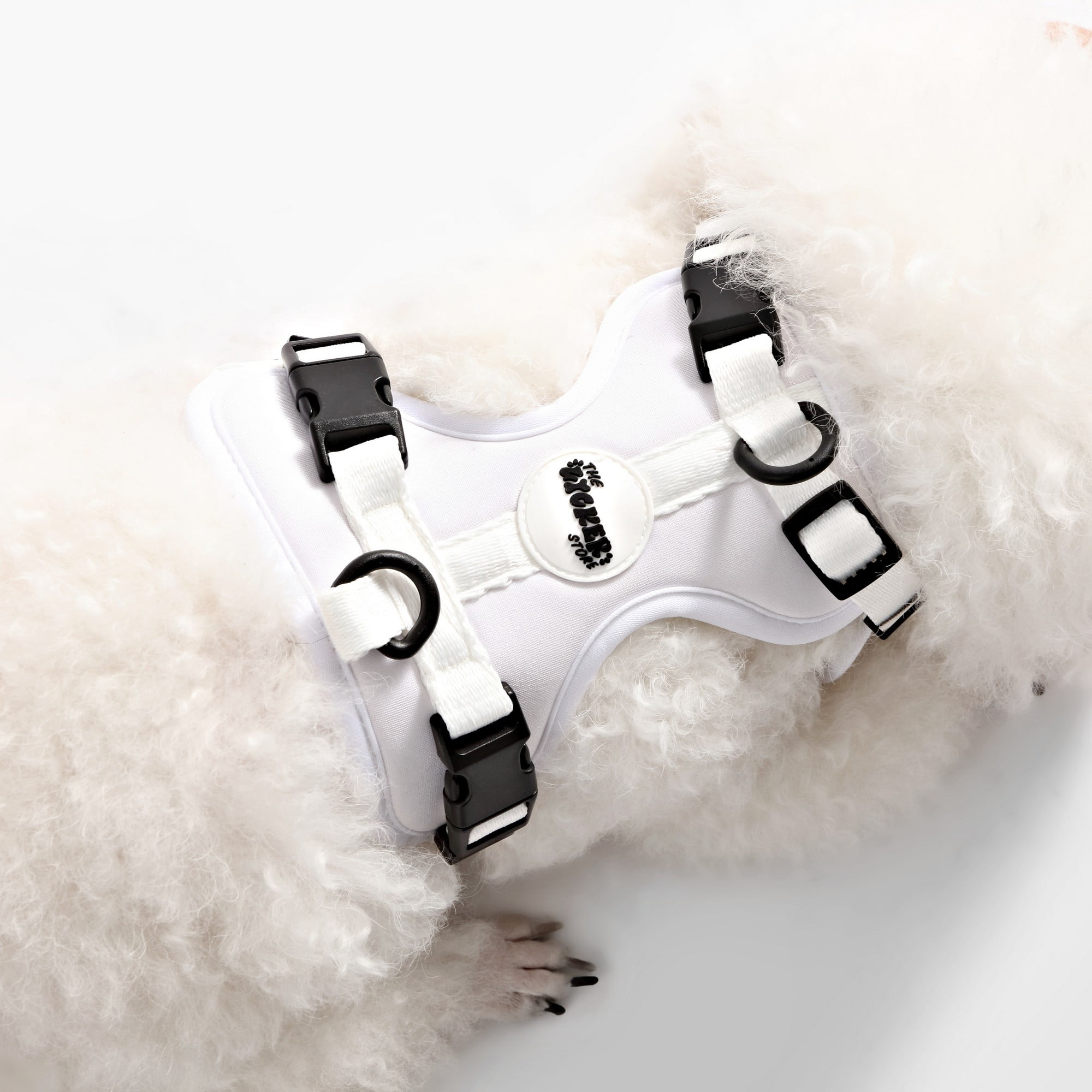 THE LICKER STORE Arlo Extra Small Adjustable Soft Padded No Pull Pet Harness with 3 Buckles and 3 Leash Clips, White, HNS1000F