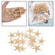 thumbnail image 5 of Pequeña playa mixta -Natural colorido perfecto para decoraciones de bodas, 3-5cm 20 piezas, 5 of 9