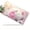 Blush Roses, variant on License Plate, Festive Highland Cow Decorative Front,Personalized Stainless Steel License Plate Cover For Men Women,12.2" X 6.2"