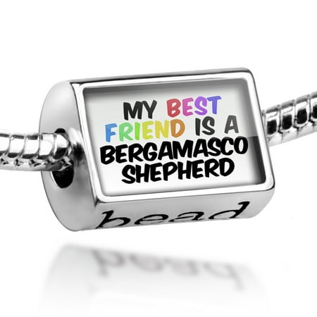 Bead My best Friend a Bergamasco Shepherd Dog from Italy Charm Fits All European (All The Best In Italian)