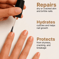 thumbnail image 3 of C CARE Cuticle Oil For Nails - Vanilla And Sugar - Contains Vitamin E - Moisturizes Strengthens Nails and Cuticles - Paraben & Cruelty Free Natural Ingredients - 2.5 oz, 3 of 7