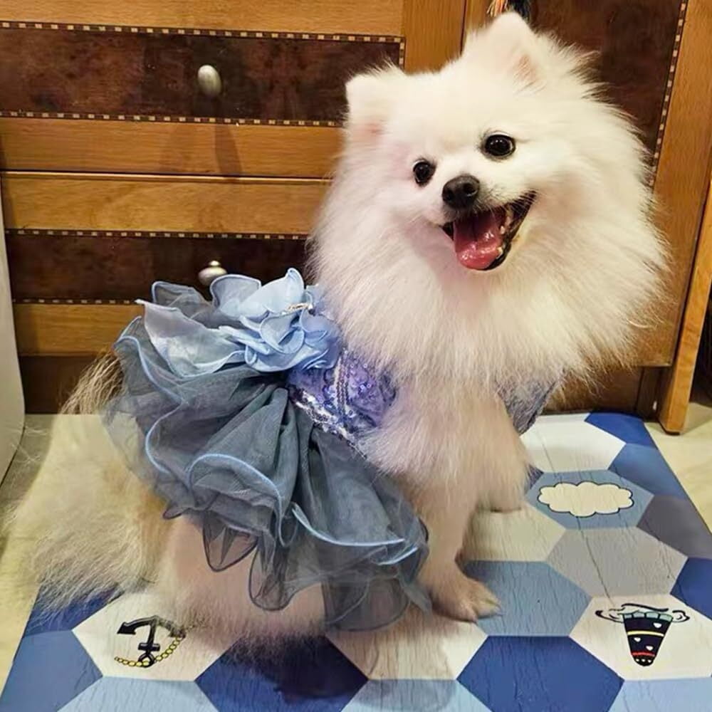ANIAC Gray Dog Dress for Small Dogs Female,Bow Knot Girl Puppy Clothes with Detachable Pearl Necklace, Elegant Cat Dress, Formal Pet Pary Outfit for Wedding Birthday Valentines (Gray, Large)