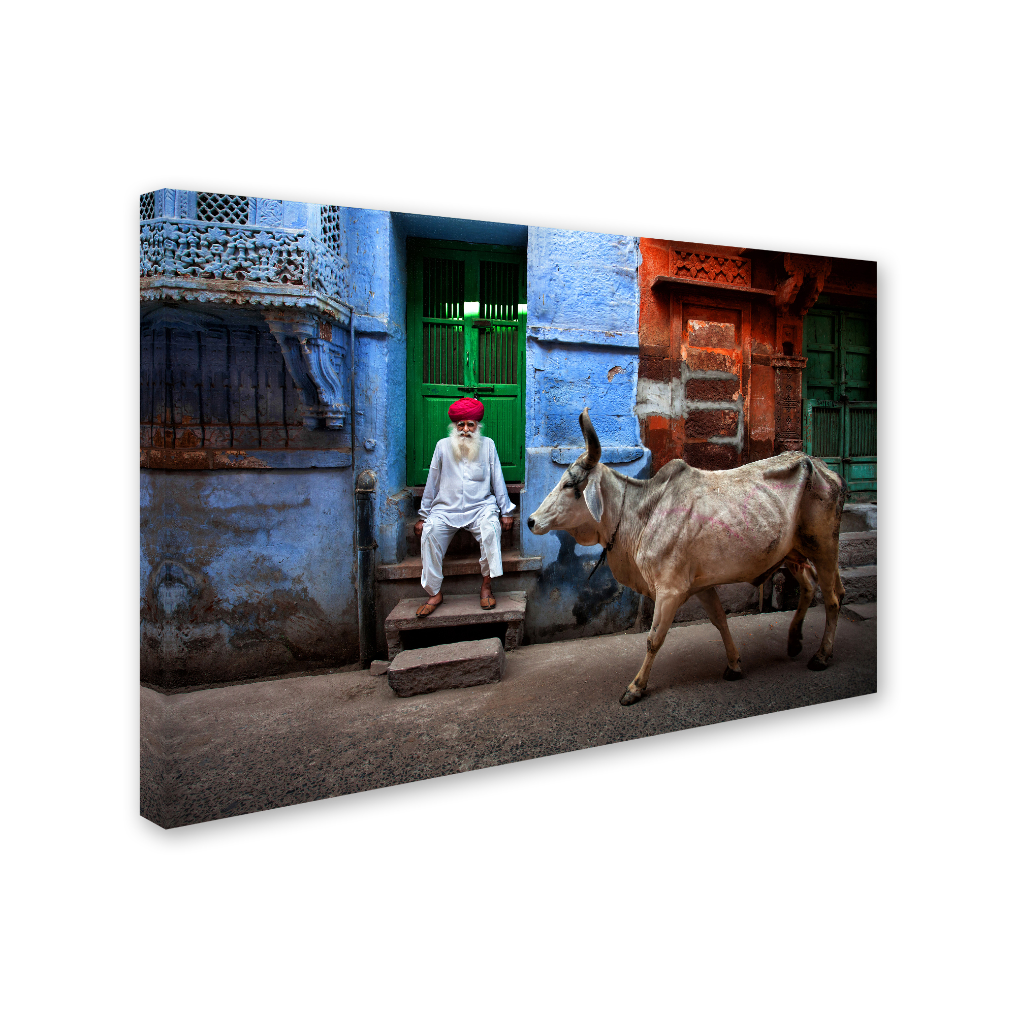 Trademark Fine Art 'India' Canvas Art by Fadhel Almutaghawi