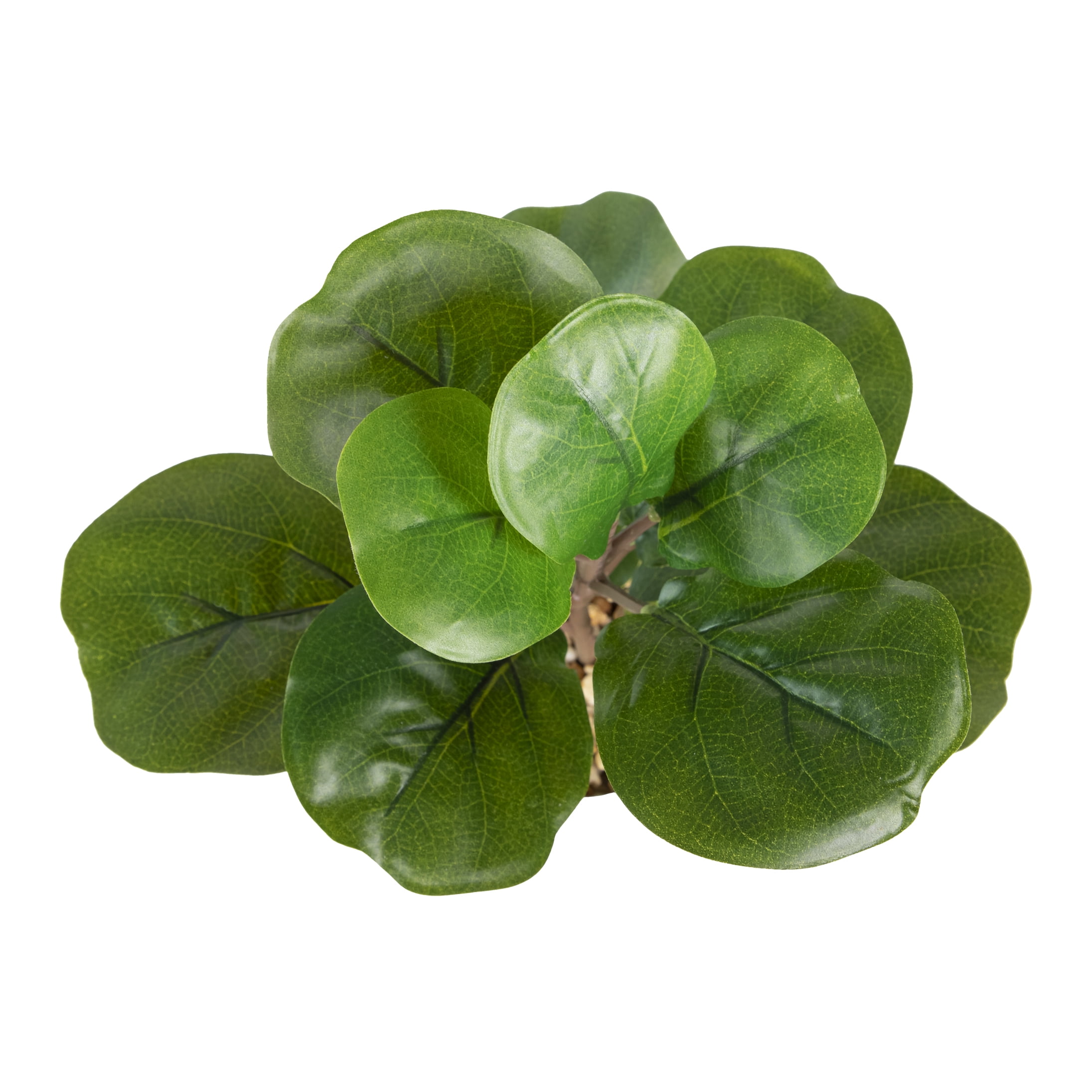 12-inch x 4-inch Artificial Fiddle Leaf Greenery Plant in White Pot, Green, for Indoor Use, by Mainstays