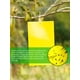 thumbnail image 2 of Trampas adhesivas para insectos Kuymtek 20 pegatinas papel para moscas para plantas interior, 2 of 9