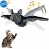 Bats