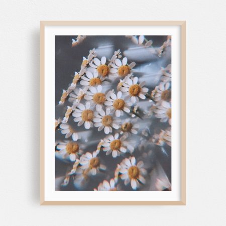 visions of you - Photography Floral Flowers Abstract Vintage Nature Psychedelic Botanical Oak Framed Wall Art Print 8 x 10 inches