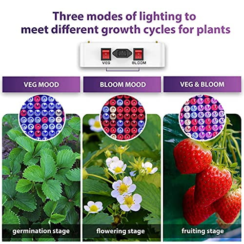 King plus 1500w led grow light online