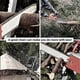 thumbnail image 5 of 4Pc 18In Chainsaw Chain 62 Drive Link 0.05In Gauge, 3/8In Pitch, 18In, 5 of 5