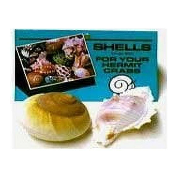 Florida Marine Research Shells for Hermit Crabs - Large - 2 pk