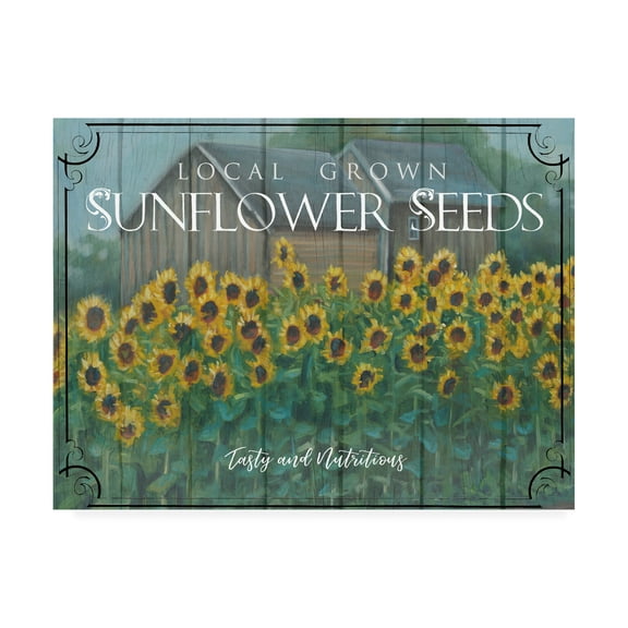 Trademark Fine Art 'Sunflower Seeds' Canvas Art by Marnie Bourque