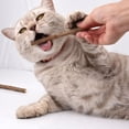 thumbnail image 5 of Pack of 10 Matatabi Cat Sticks, Dried Catnip Natural Catnip Matabi Stick Chew Cat Toy., 5 of 5