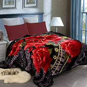 JML Heavy Fleece Blanket Queen(79"x91", 9 lbs), 2 Ply Design, Ultra Soft Warm Thick Korean Mink Printed Plush Mink Raschel Bed Blanket for Autumn,Winter,Bed,Home,Gifts