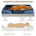 thumbnail image 6 of PayUSD Dog Bed for Large Medium Small Dogs Orthopedic Waterproof Dog Sofa Bed Non Slip Pet Couch with Removable Washable Cover Supportive Foam M to XXL, 6 of 9