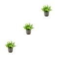 thumbnail image 1 of kurtrusly Realistic Artificial Succulent Low Maintenance Elegant Easy To Clean Artificial Money Tree In Pot blue babysbreath 3Set, 1 of 6