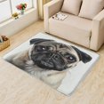 thumbnail image 2 of Pug Rug & Home Decor - Dog Rugs for Entryway, Front Door Mat Indoor Entrance, Washable Rugs, 2x3 Rug, Non Slip Soft Low Pile Small Area Rug, Dog Lover Carpet & Room Decorations X-&254, 2 of 7