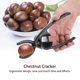 thumbnail image 1 of Abridor De Nueces Multifuncional Higoodz Cocina Decoración y Otros, 1 of 8