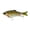 Cajun Gill, variant on 6th Sense – Trace Multi-Jointed Swimbait Series, Realistic Swimming Hard Bait