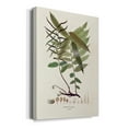 thumbnail image 2 of Botanical Society Ferns VI Premium Gallery Wrapped Canvas - Ready to Hang, 2 of 9