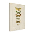thumbnail image 2 of Trademark Fine Art 'Pauquet Butterflies II' Canvas Art by Pauquet, 2 of 4