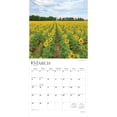 thumbnail image 3 of Sunflowers | 2026 12x24" (Hanging) Square Wall Calendar | Plastic-Free, 3 of 9