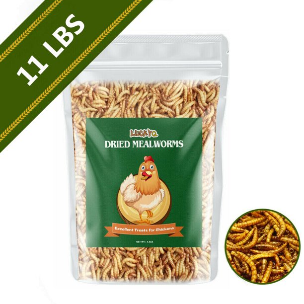 LuckyQ Chicken Food, Salt & Mealworms, 11 lb. Packet