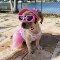 thumbnail image 6 of Deago Small Dog Goggles UV Protection Doggy Sunglasses Windproof Pet Glasses for Puppy Cat Eyes Protective (Pink), 6 of 9