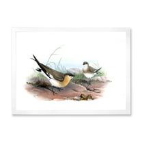 Designart 'Ancient Bird Illustration II' Farmhouse Framed Art Print