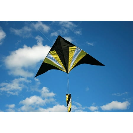 Flying Arrow Kite Delta Shape with Flying Line and Handle 6 Ft Wide, Easy to
