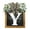 Y, variant on Front Door Wreath,Wreaths for Front Door,2026 New Last Name Year Round Front Door Wreath, Last Name Year Round Front Door Wreath Decorative, Hanging Plaques In Front Of The Door 12IN(Z)