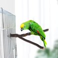 thumbnail image 4 of 10pcs Bird Parrot Perch Stand Set - Natural Wood Bird Parrot Stand Branches Fork Perch Rod Stand for Small Parakeets, 4 of 8