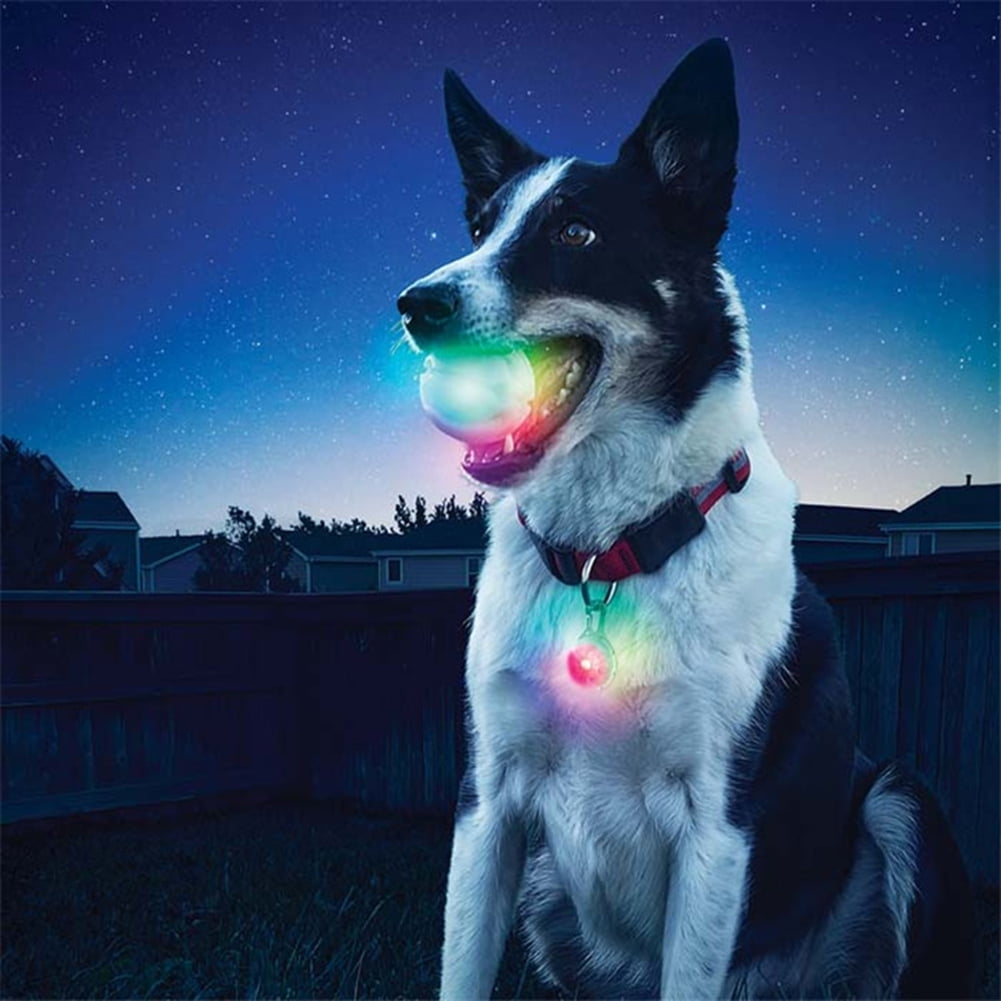 magic ball dogs