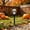 C, variant on Solar Powered Bat Skeleton Pathway Stake Light, LED Light Up Bat Bones Yard Stake, Waterproof Halloween Walkway Lawn Graveyard Decor Lamp