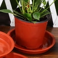 thumbnail image 2 of 10 piezas de bandejas para plantas, macetas, platos para casa, bonsáis, rojo PP, 2 of 6