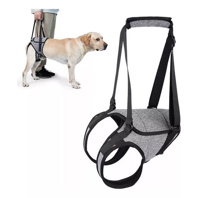 Arnés De Elevación Para Perro, Arnés Para Patas Traseras