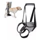 thumbnail image 1 of Arnés De Elevación Para Perro, Arnés Para Patas Traseras, 1 of 7