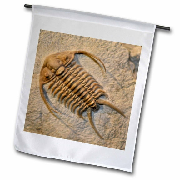 3dRose, Cheirurus exsul from the Ordovic Russia, 12 x 18 inch Garden Flag