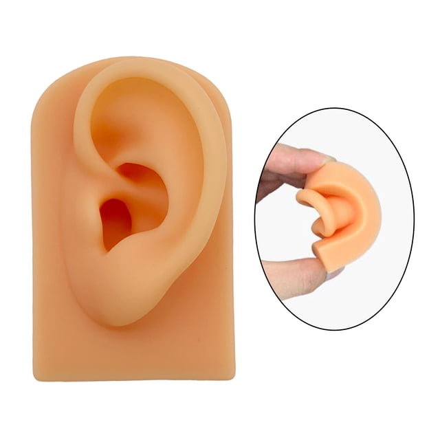 Accesorios de visualización Baoblaze modelo de oreja de silicona suave para perforación y enseñanza