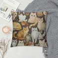 thumbnail image 2 of Throw Pillow Cover Calico Cute Cats Posing Doodle Lot Animal Hospital Back  Pillowcase Home Decorative Square Pillow Case Cushion Cover, 2 of 5
