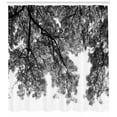 thumbnail image 3 of Ambesonne Photo Shower Curtain, Tree Branches and Leaves, 69"Wx84"L, Black and White, 3 of 3